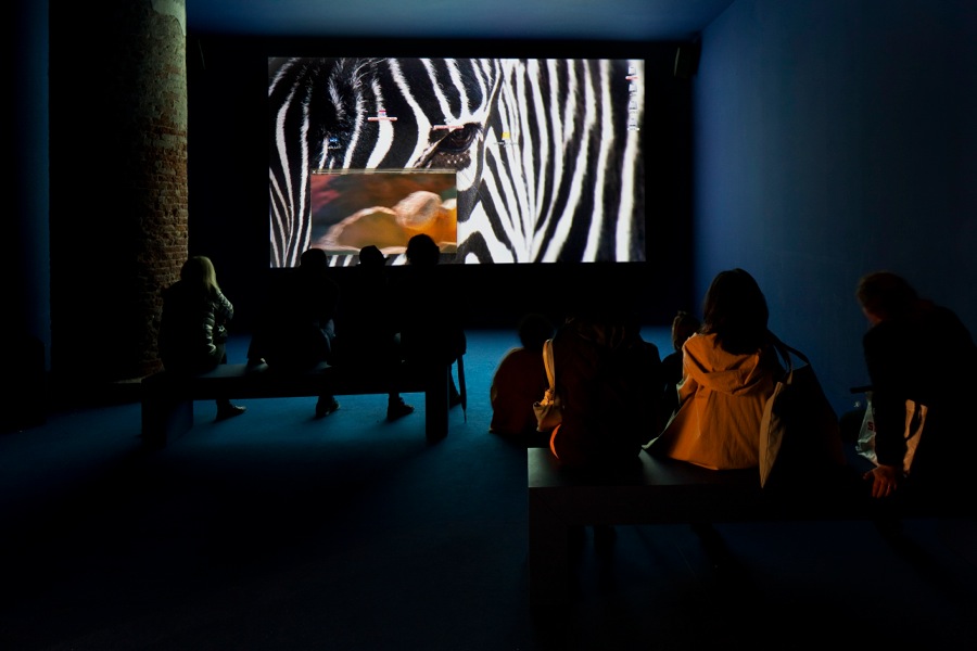 Camille Henrot Grosse Fatigue, 2013 Video installation (color, 13 min) Courtesy the artist and kamel mennour, Paris Production : galerie kamel mennour, Paris ; with the additional support of Fonds de dotation Famille Moulin, Paris ; and the Institut Français Executive producer : Silex Films Project conducted as part of the Smithsonian Artist Research Fellowship Program, Washington, D.C. Special thanks to: the Archives of American Art, the National Museum of Natural History, and the National Air and Space Museum