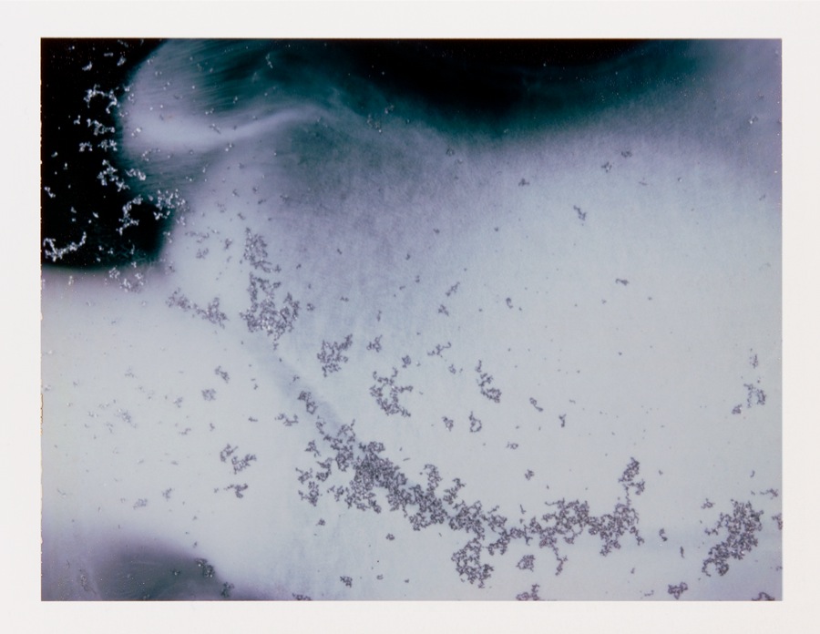 Beatrice Pediconi Polaroid #3 polaroid 10 x 13 cm dalla serie / from the series 9’/Unlimited, 2013
