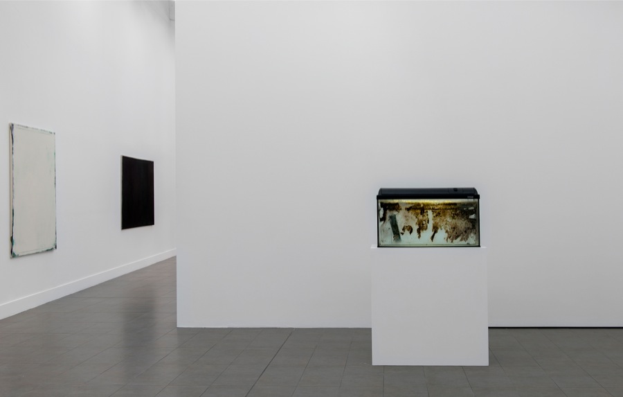James Krone, Waterhome: We is Somebody Else, September/November 2013 Installation view at Brand New Gallery, Milan Courtesy Brand New Gallery and the artist Credits Maria Teresa Furnari