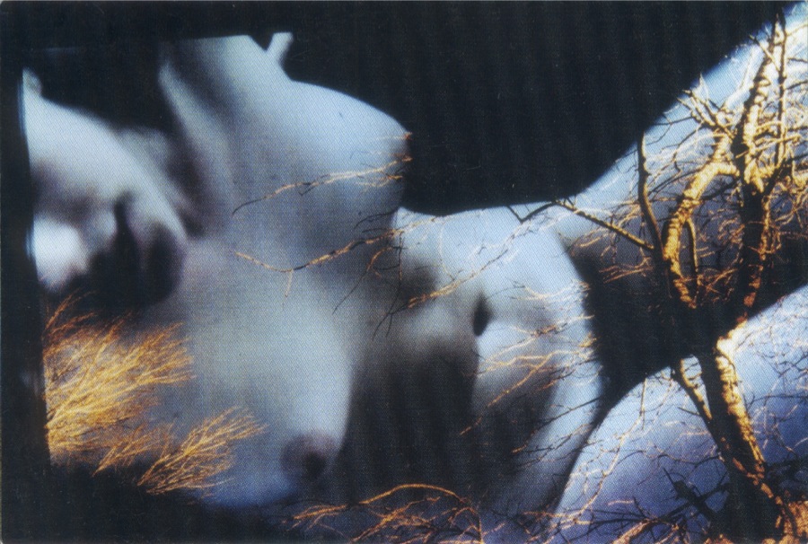  - Lo-Spirito-delle-Ragazze-fotografica-1998-c