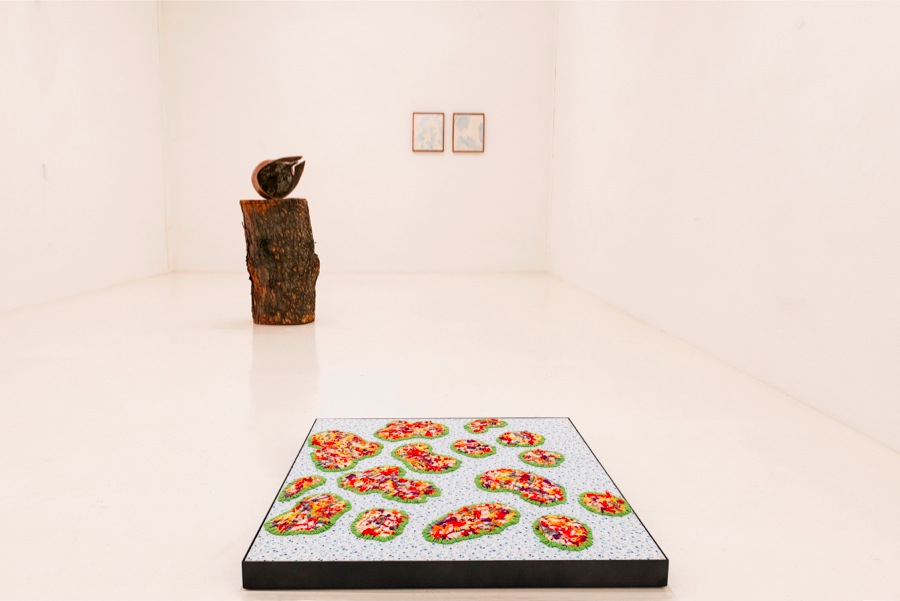 Installation view,   Il Rituale del serpente,   Fondazione Pastificio Cerere,   foto: Mario Martignetti