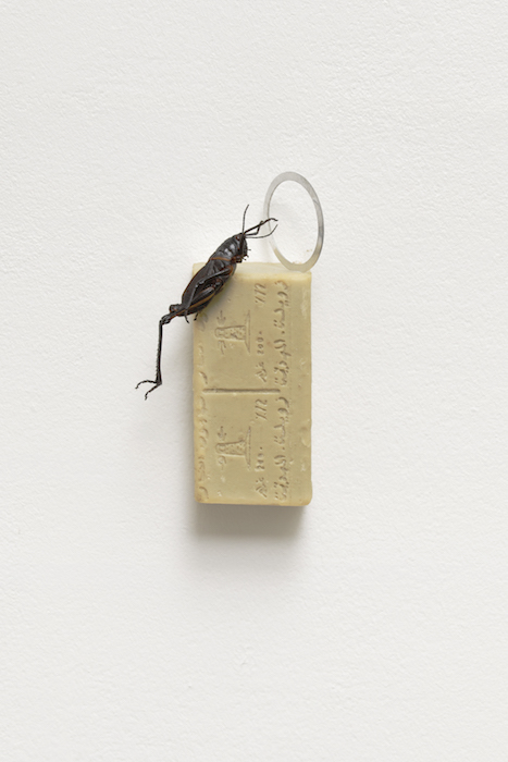 Untitled (Grasshopper), 2018, sauterelle, savon de Mahdia, aluminium, 18 x 6 x 7 cm ( 7 1/8 x 2 3/8 x 2 3/4 in.)