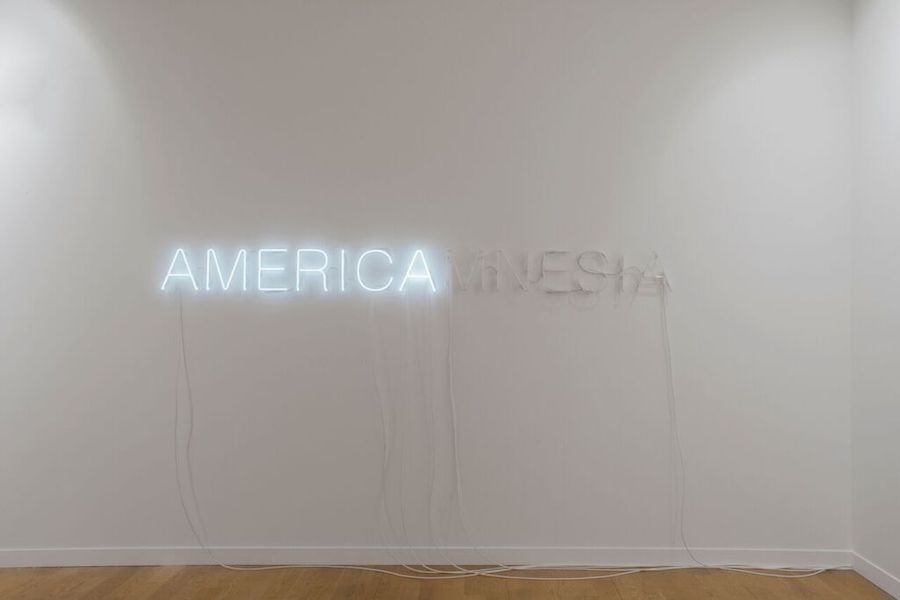 Armory Francesca Minini, America Amnesia, Runo Lagomarsino