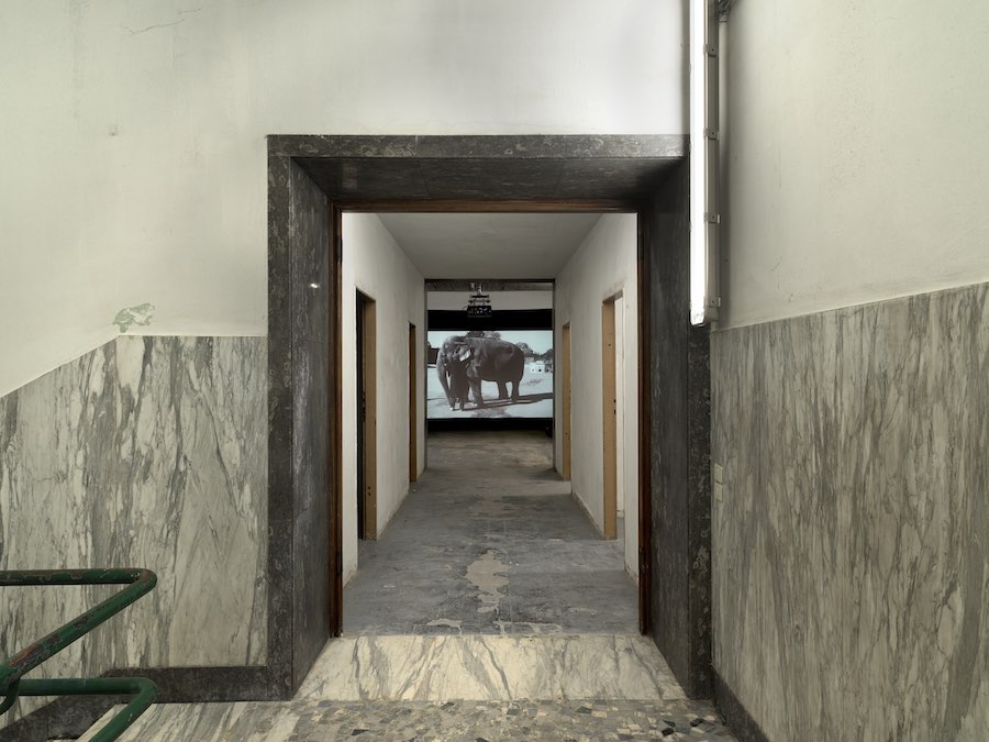 Fondazione ICA Milano - Apologia della Storia, Installation view