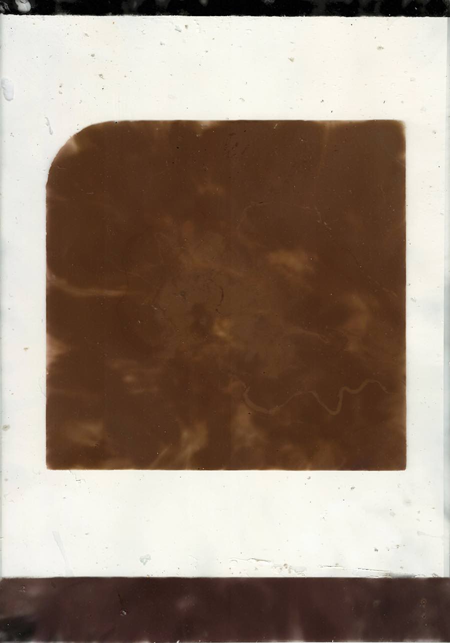 Resurrezione | Riflessioni sulla mostra Spore di Carlo Steiner - ATP DIARY