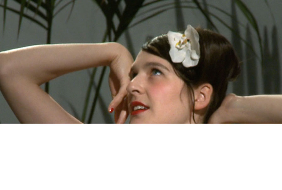 ZAPRUDER filmmakersgroup,   Slaughterhouse,   video still from stereoscopic film Cock-Crow,   2009. sequence,   Miss Eracle sopra,   2015)