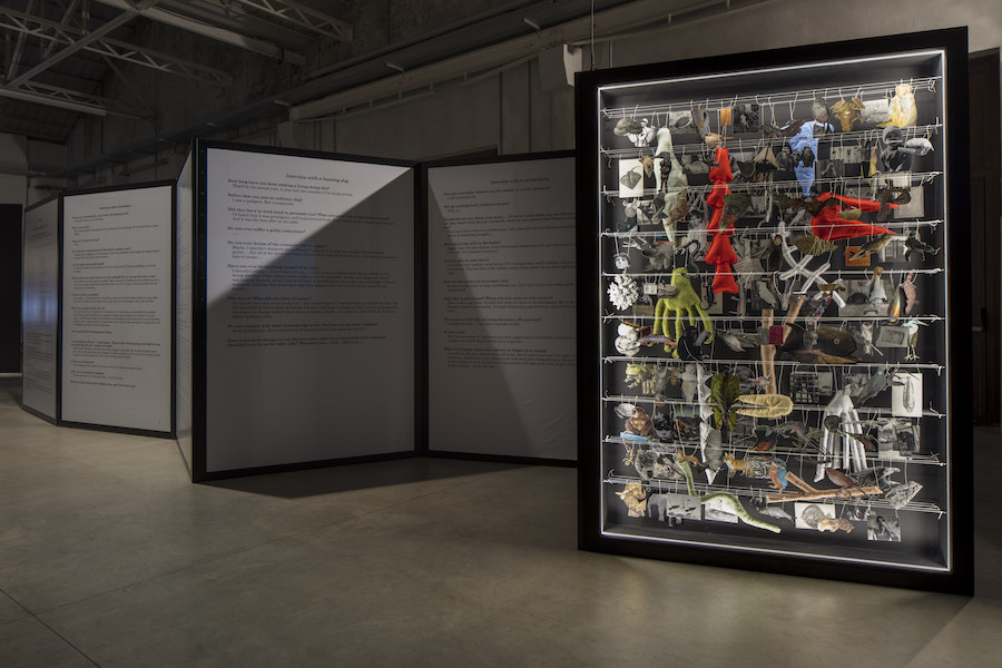 Eva Kot’átková Diary no.2 (I-Animal), 2018, installation view at Pirelli HangarBicocca, Milan, 2018. Commissioned and produced by Pirelli HangarBicocca, Milan. Courtesy of the artist. Photo Agostino Osio