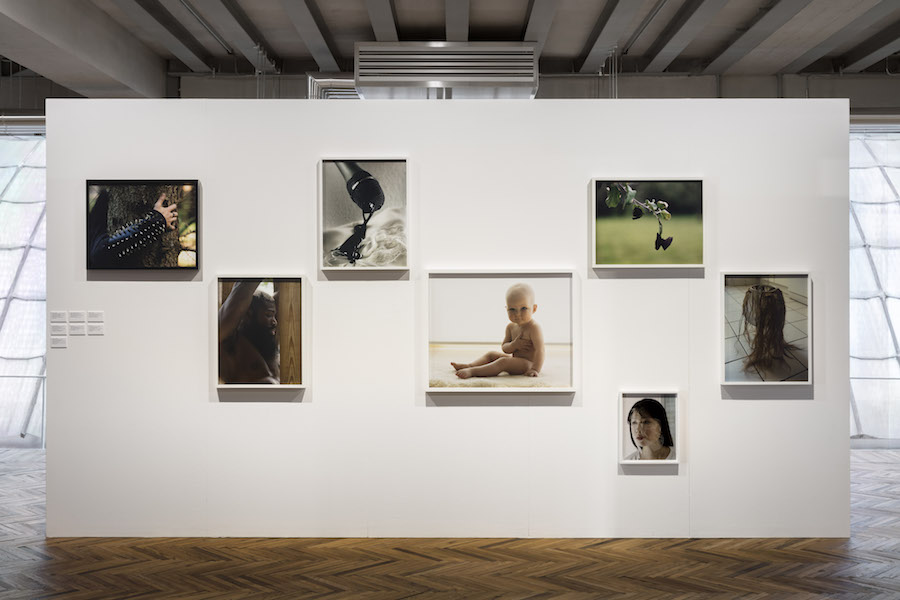 Exhibition view of Torbjørn Rødland - The Touch That Made You - Photo Andrea Rossetti - Fondazione Prada Osservatorio, Milano Courtesy Fondazione Prada 2018