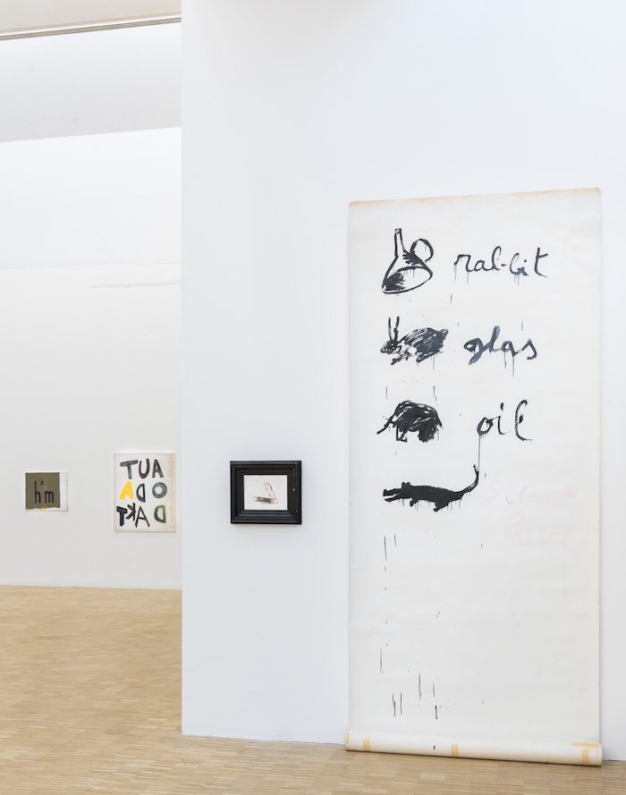 Walter Swennen, La pittura farà da sé - Installation view  © La Triennale di Milano - Foto Gianluca Di Ioia