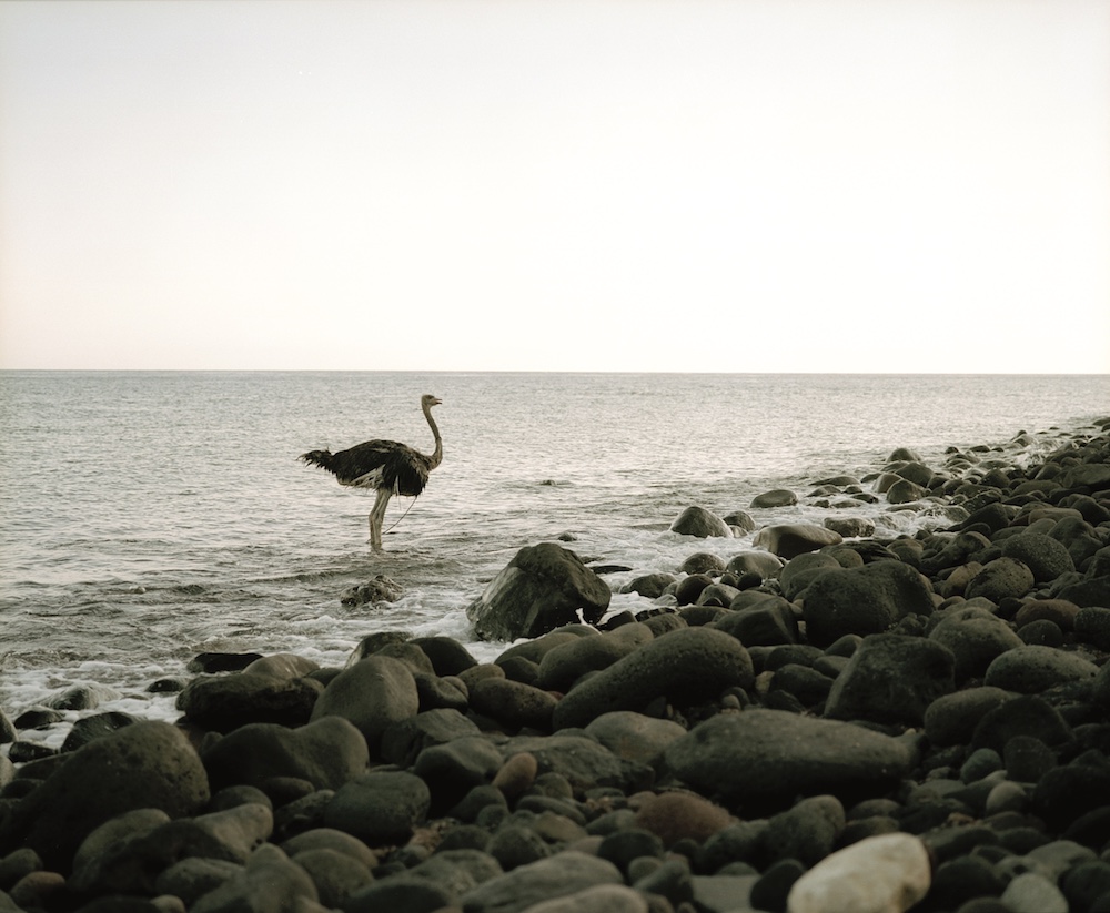 Nuovi Paesaggi alla prima edizione dell' EXPOSED Torino Foto Festival ...