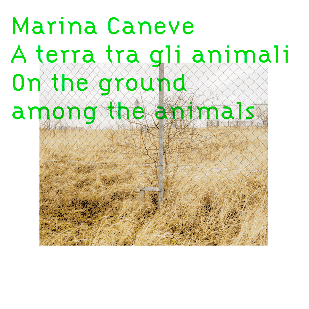 Marina Caneve -FMAV-ATPDiary
