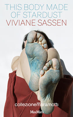 Viviane Sassen - Collezione Maramotti 2025